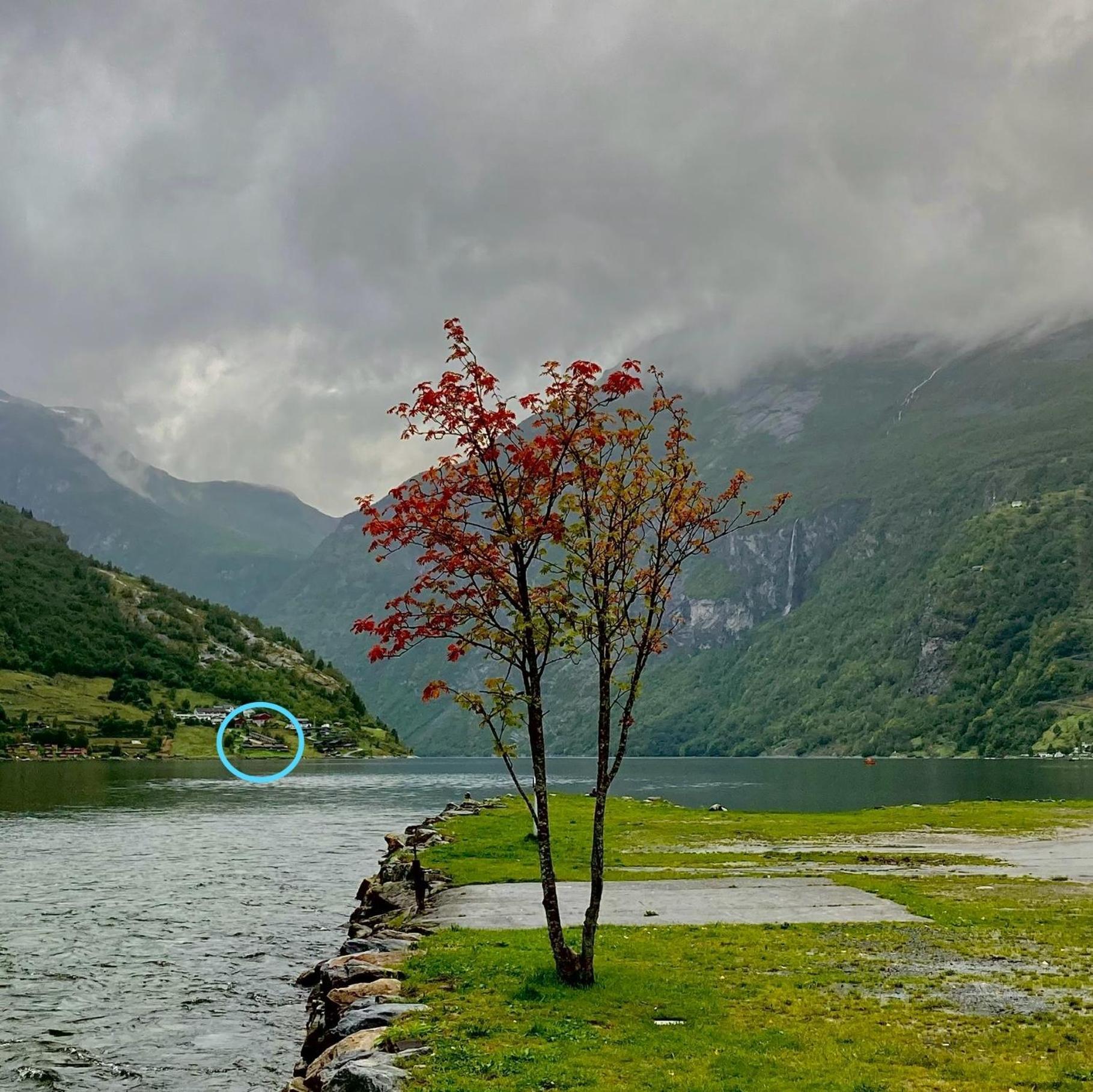 Fjorden Campinghytter Geiranger Ngoại thất bức ảnh